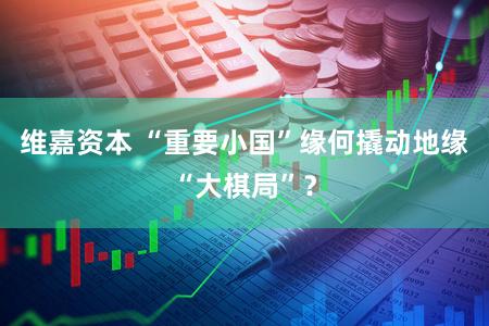 维嘉资本 “重要小国”缘何撬动地缘“大棋局”？