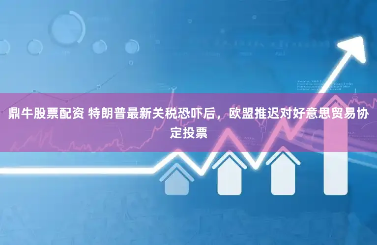 鼎牛股票配资 特朗普最新关税恐吓后，欧盟推迟对好意思贸易协定投票