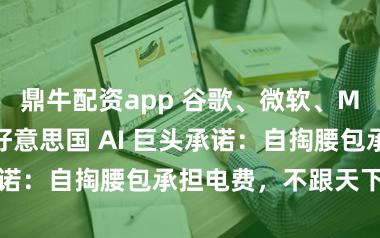 鼎牛配资app 谷歌、微软、Meta 等多家好意思国 AI 巨头承诺：自掏腰包承担电费，不跟天下抢电用