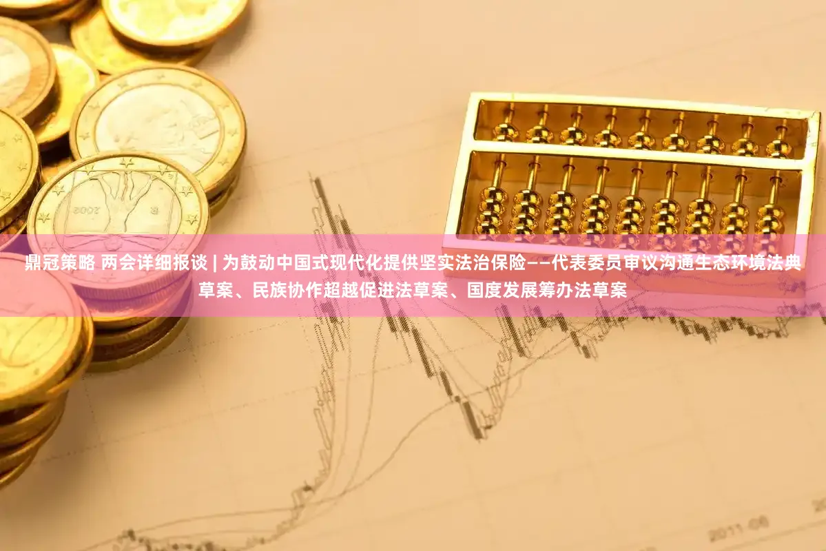 鼎冠策略 两会详细报谈 | 为鼓动中国式现代化提供坚实法治保险——代表委员审议沟通生态环境法典草案、民族协作超越促进法草案、国度发展筹办法草案