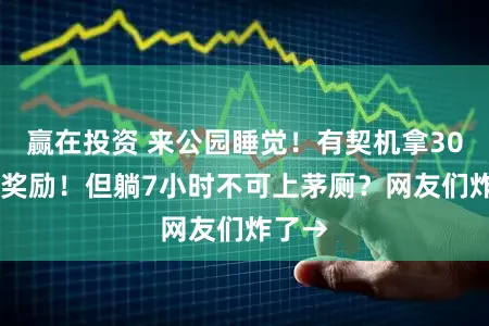 赢在投资 来公园睡觉！有契机拿3000元奖励！但躺7小时不可上茅厕？网友们炸了→
