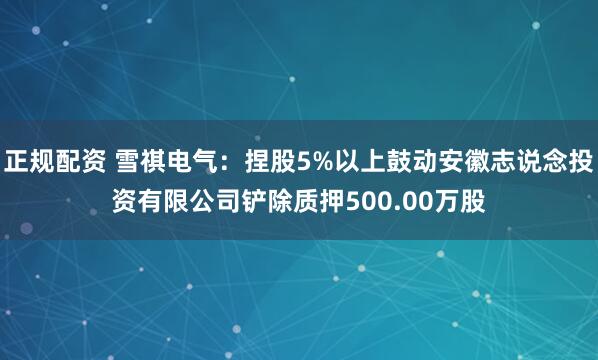 正规配资 雪祺电气：捏股5%以上鼓动安徽志说念投资有限公司铲除质押500.00万股