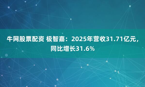 牛网股票配资 极智嘉：2025年营收31.71亿元，同比增长31.6%