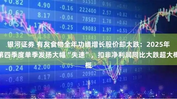 银河证券 有友食物全年功绩增长股价却大跌：2025年第四季度单季发扬大幅“失速”，扣非净利润同比大跌超大概