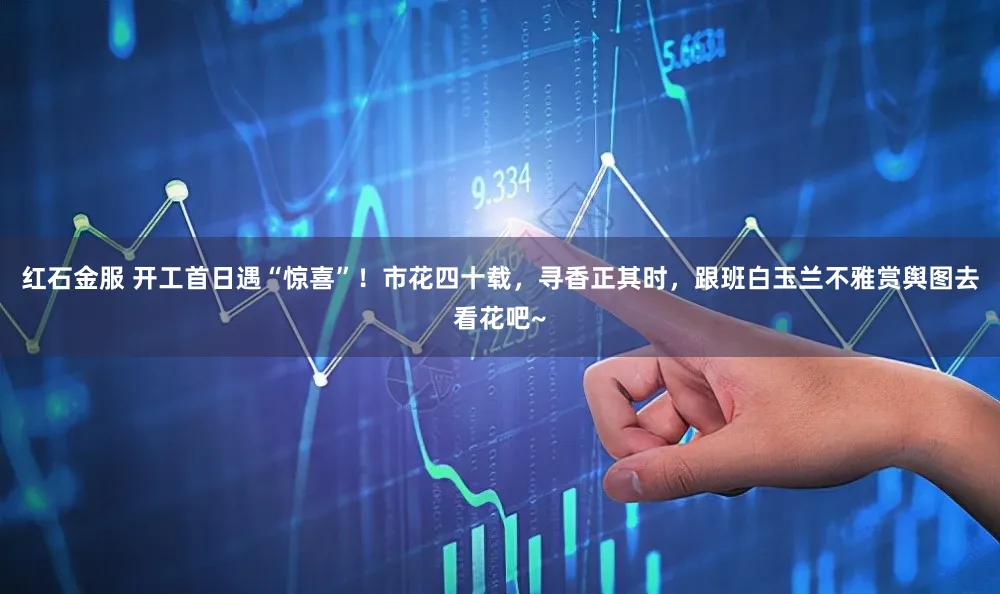 红石金服 开工首日遇“惊喜”!市花四十载,寻香正其时,跟班白玉兰不雅赏舆图去看花吧~